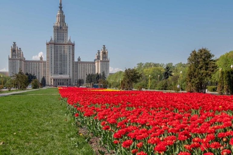 МГУ вошёл в сотню лучших вузов мира в разных областях науки