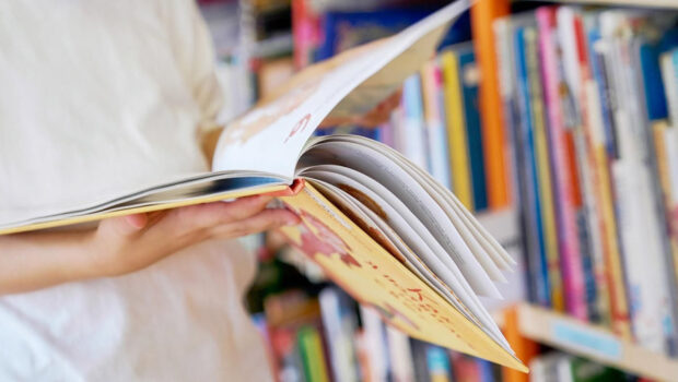 В Латвии хотят запретить ввоз книг, одежды и игрушек из России
